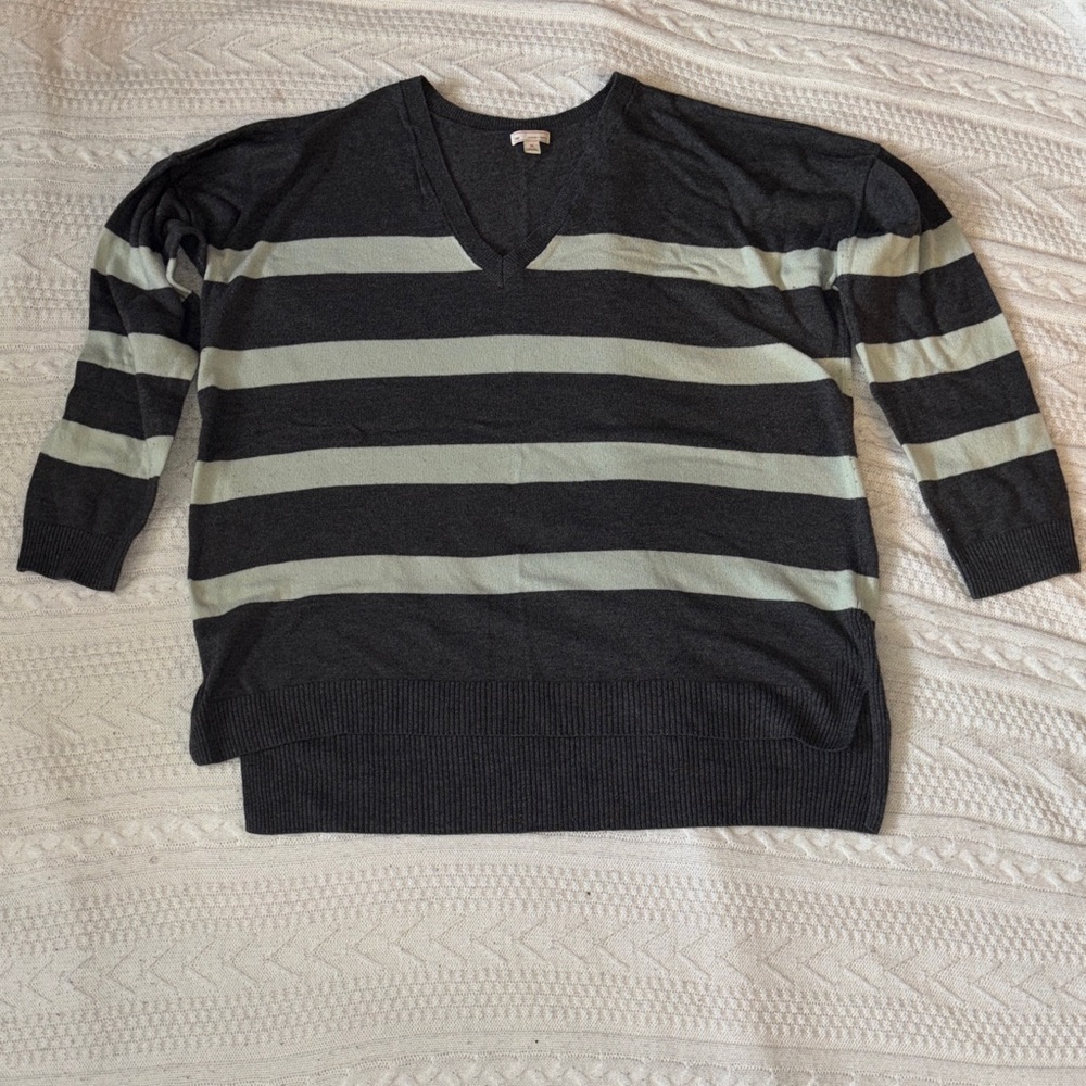 GAP Women’s V-Neck Sweater in Mint and Gray Stripes